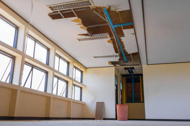 Best Commercial water damage restoration  in Highland City, FL
