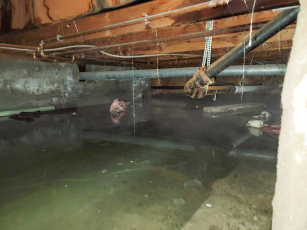 Best Fire Damage Restoration  in Highland City, FL