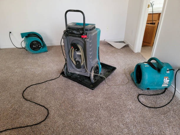 Best 24-hour water damage restoration  in Highland City, FL
