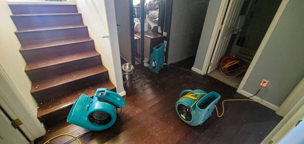 Best Carpet water damage restoration  in Highland City, FL