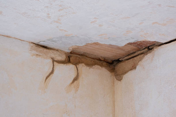 Best Flood restoration services  in Highland City, FL