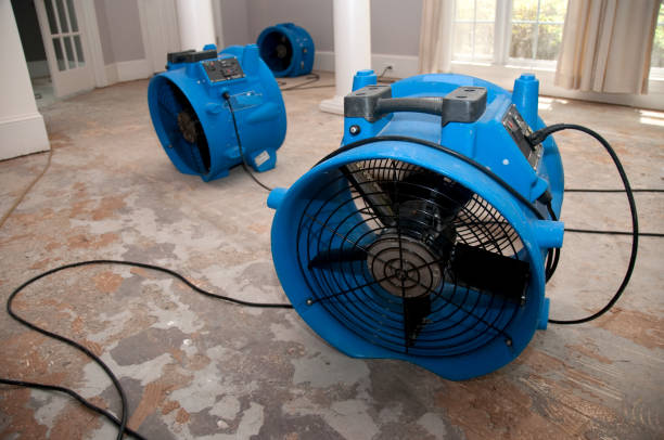 Best Sewage cleanup and water damage restoration  in Highland City, FL