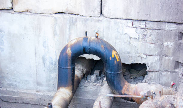 Best Basement water damage restoration  in Highland City, FL