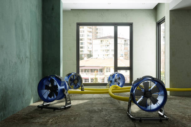 Best Water damage restoration mold remediation  in Highland City, FL